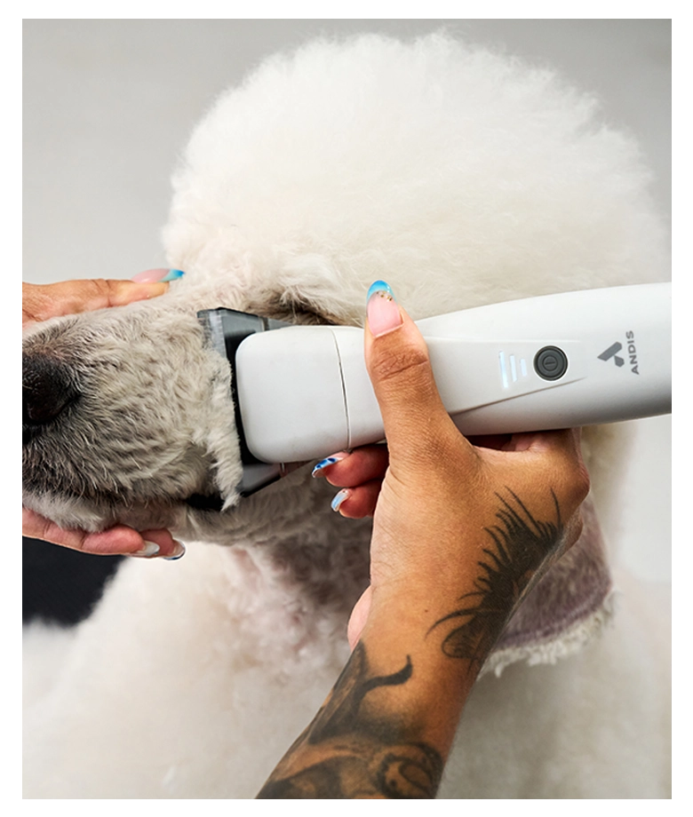 Thumbnail 563839 EMERGE Pro London Fog in-use poodle